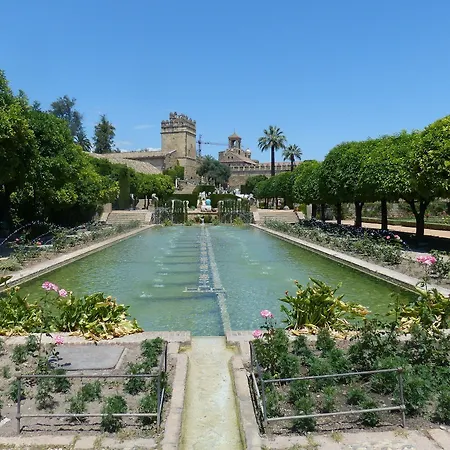 Patio De La Plateria Córdoba