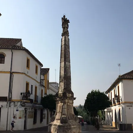 Patio De La Plateria Córdoba