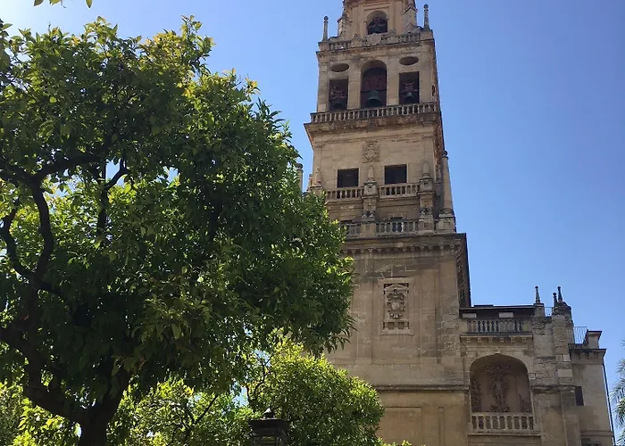 Patio De La Plateria 3* 科爾多瓦