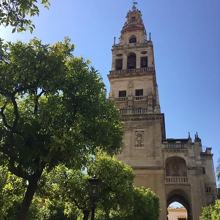 Patio De La Plateria 3* Κόρδοβα