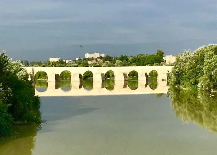 Гостевой дом Patio De La Plateria Кордова